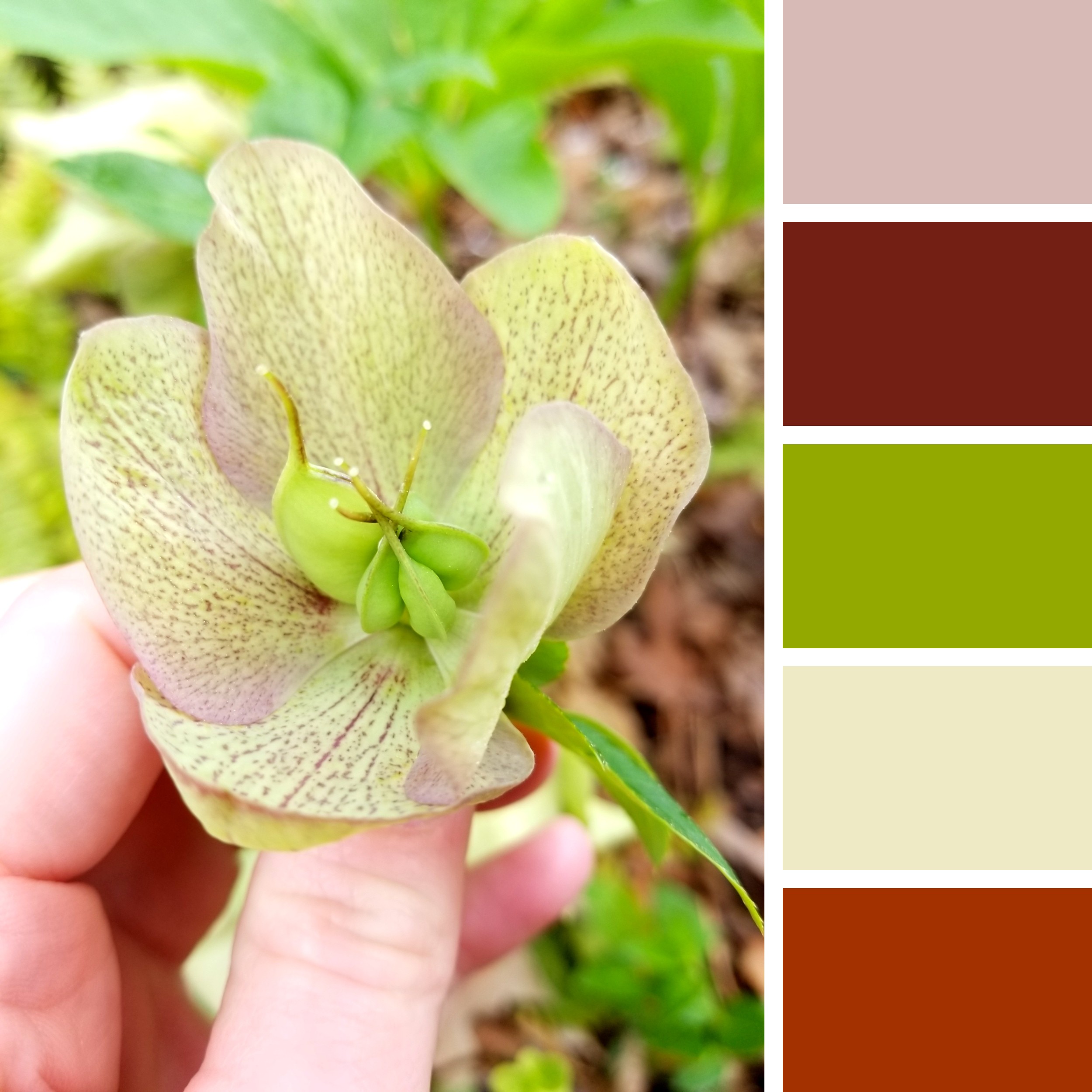 Valerie Lorraine Artworks Spring palette for a spring art show 